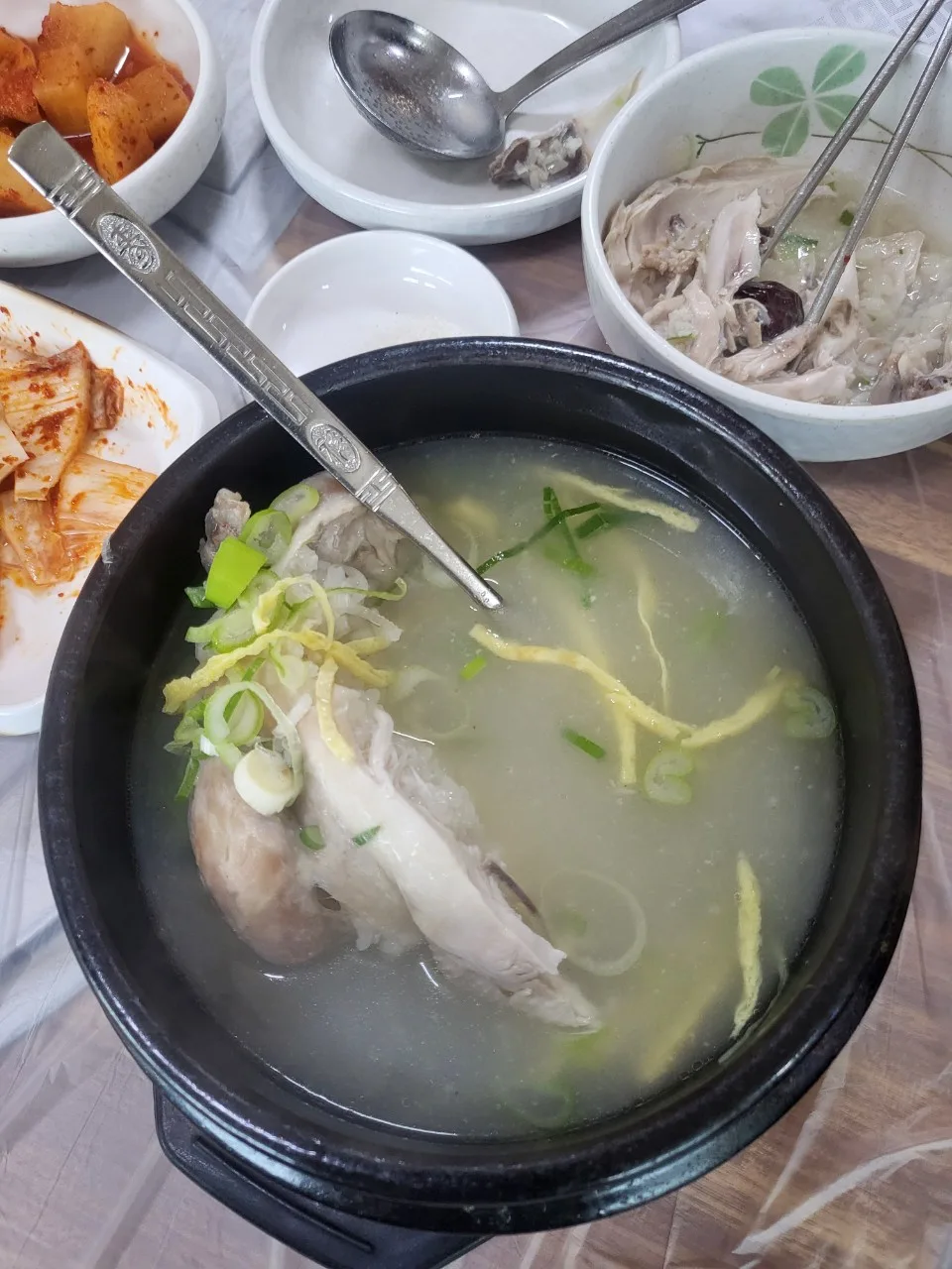 몽골 치과의사가족 10명 부산의료관광 팸투어
