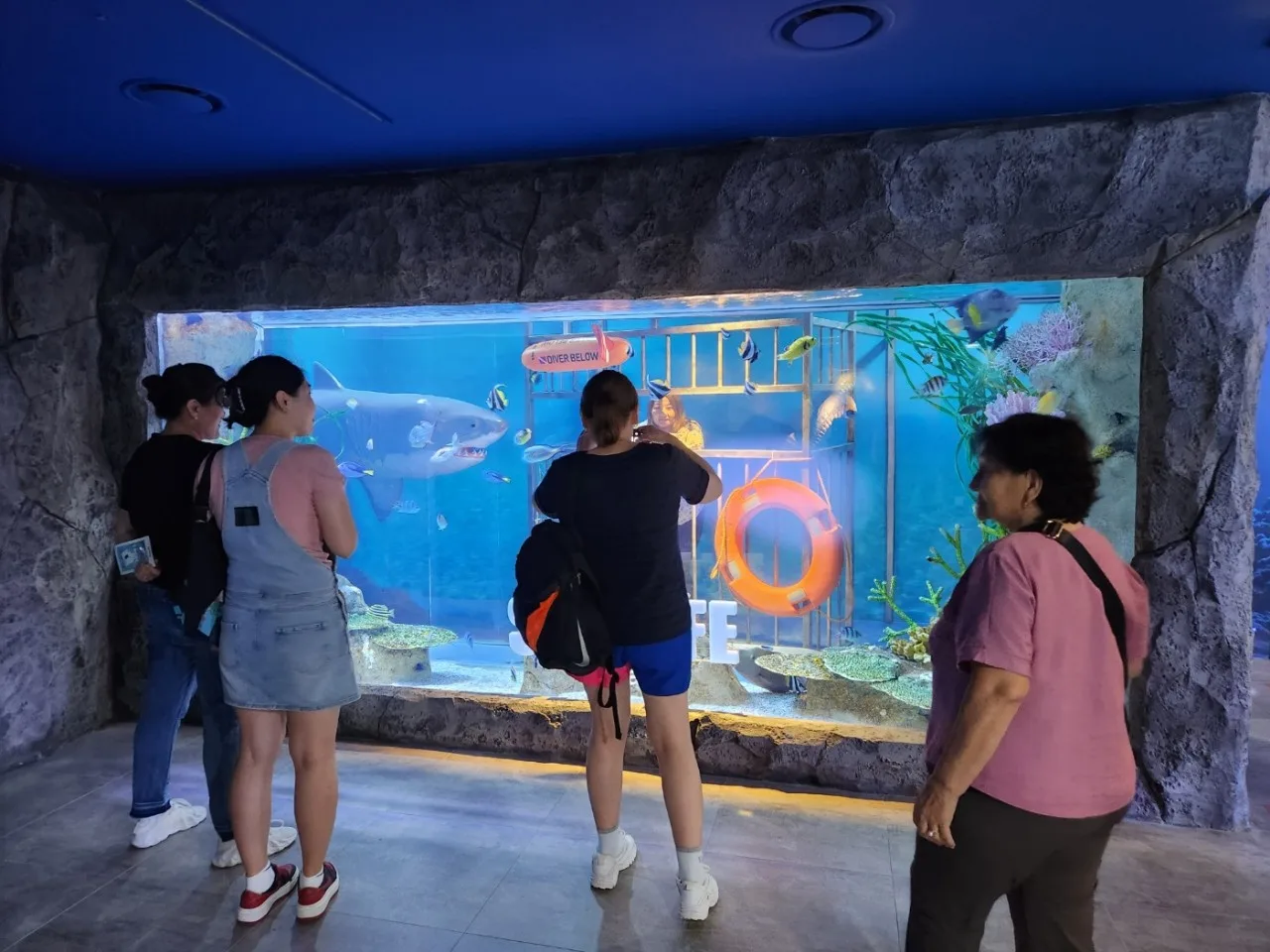 몽골 치과의사가족 10명 부산의료관광 팸투어