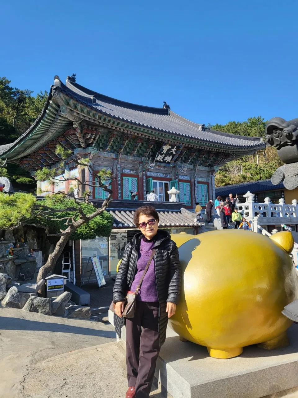 부산 건강검진 프로그램 — 미국 단체 (2023.11.12~11.15)
