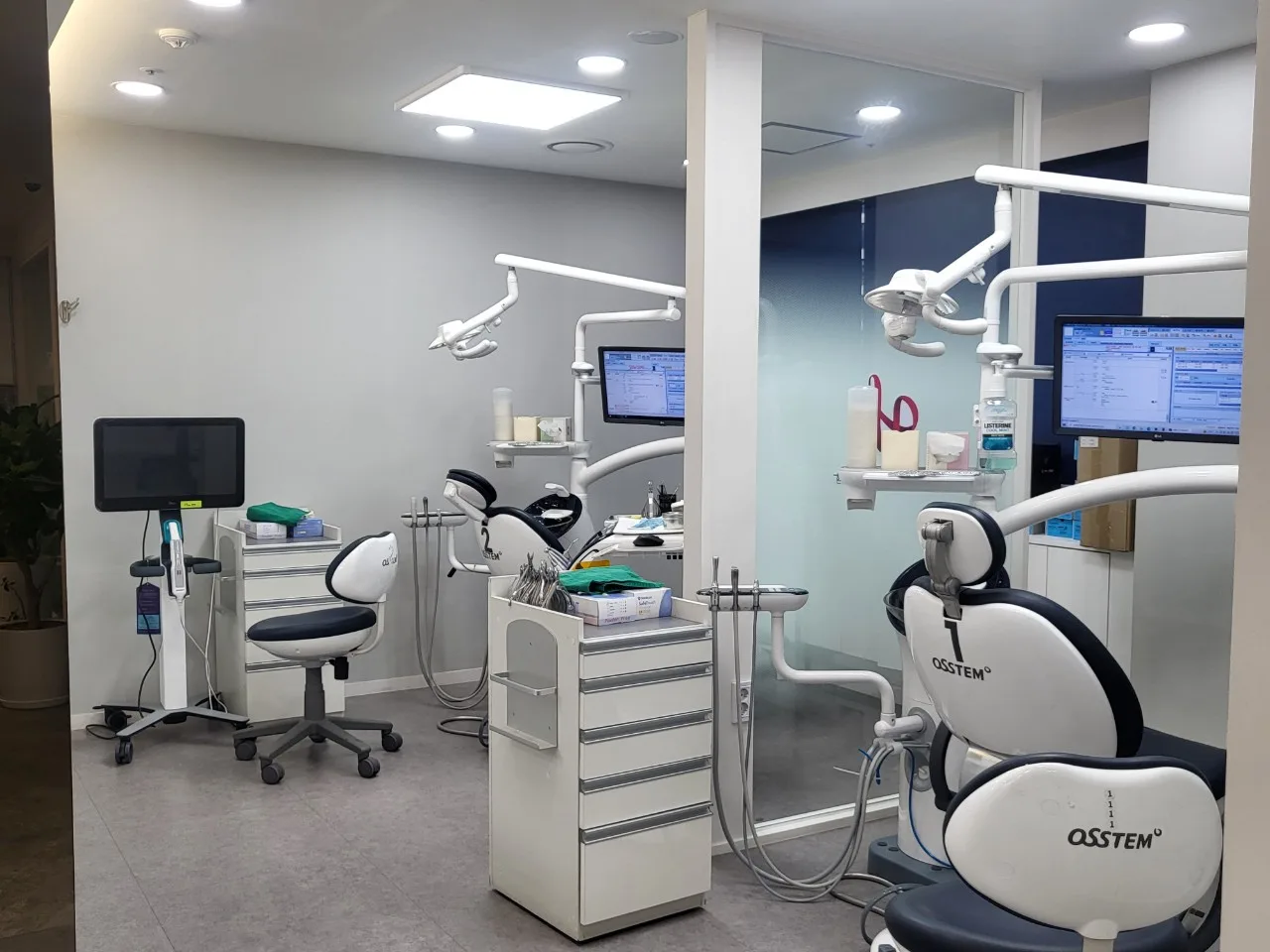 몽골 부산메디투어 ( PSW - 2023.11.30 ~ 12.05 )