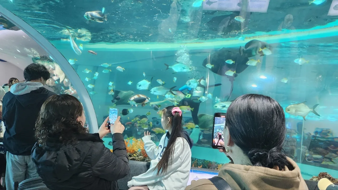 Mongolia_ Busan MediTour ( AM투어 - 2024.02.15 ~ 02.19 )